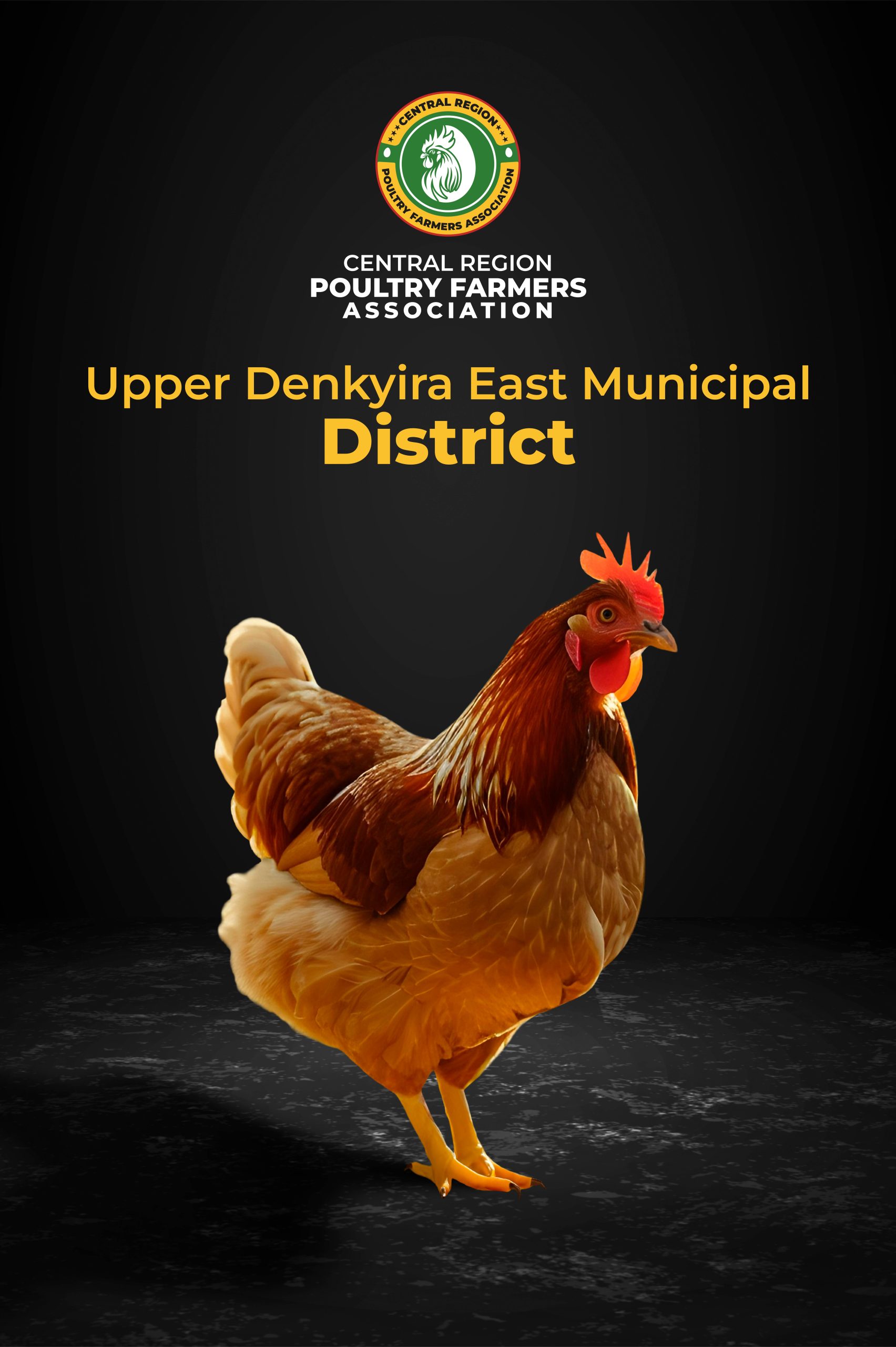 CRPFA - Upper Denkyira East Municipal District